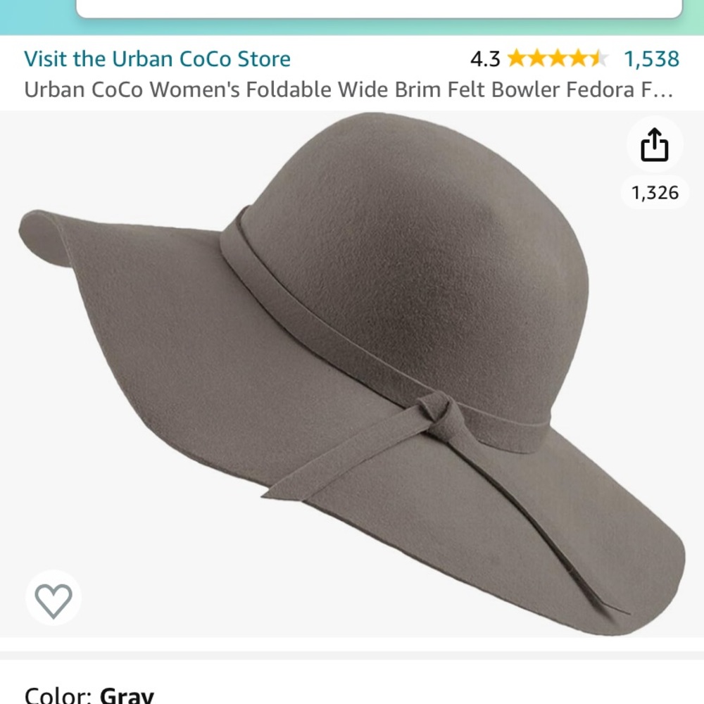 Wool felt floppy fall hat NWT